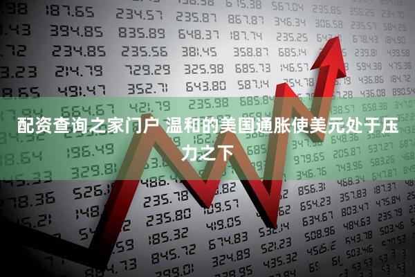 配资查询之家门户 温和的美国通胀使美元处于压力之下