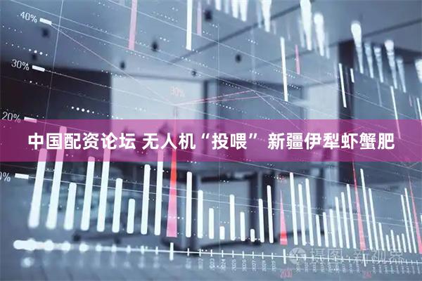 中国配资论坛 无人机“投喂” 新疆伊犁虾蟹肥