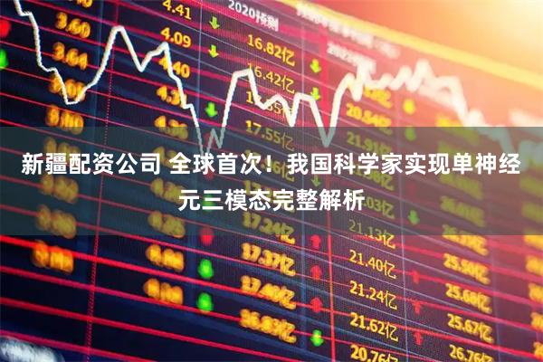 新疆配资公司 全球首次！我国科学家实现单神经元三模态完整解析